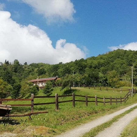 Bed and Breakfast La Casa In Collina Cinzano Zewnętrze zdjęcie